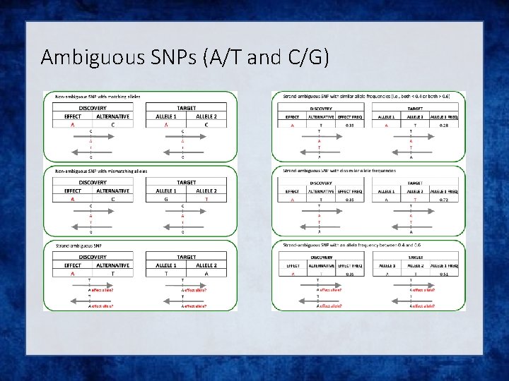 Ambiguous SNPs (A/T and C/G) 