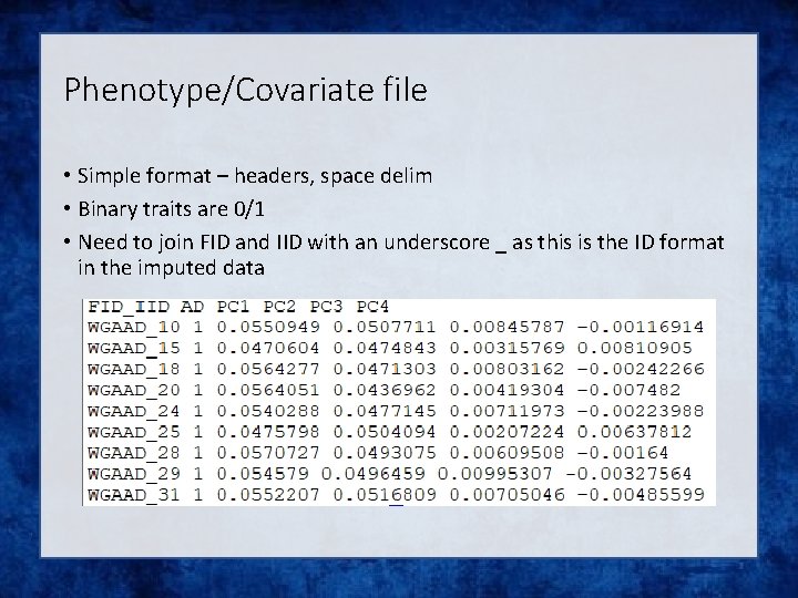 Phenotype/Covariate file • Simple format – headers, space delim • Binary traits are 0/1