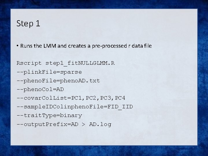 Step 1 • Runs the LMM and creates a pre-processed r data file Rscript