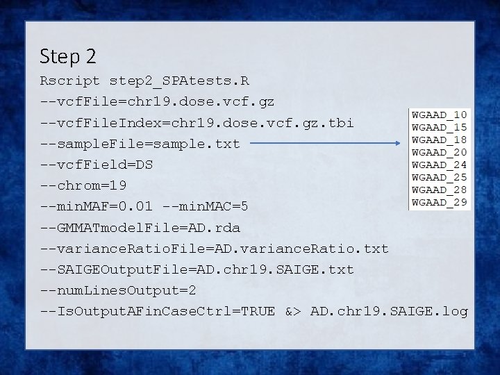 Step 2 Rscript step 2_SPAtests. R --vcf. File=chr 19. dose. vcf. gz --vcf. File.