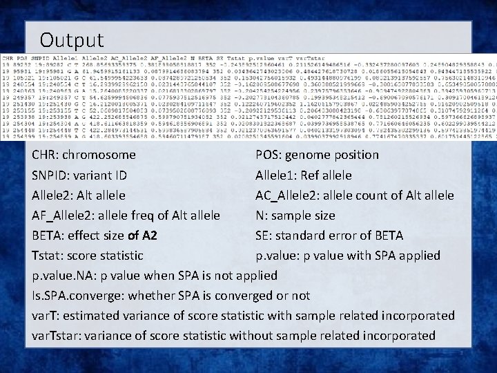 Output CHR: chromosome POS: genome position SNPID: variant ID Allele 1: Ref allele Allele