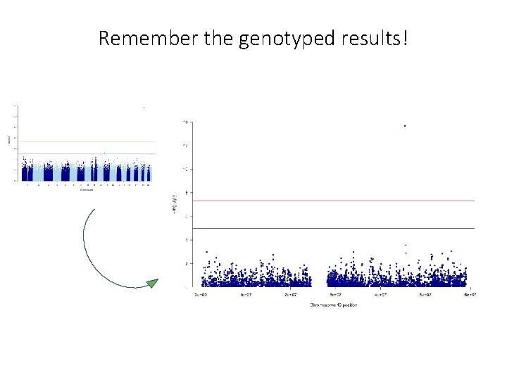 Remember the genotyped results! 