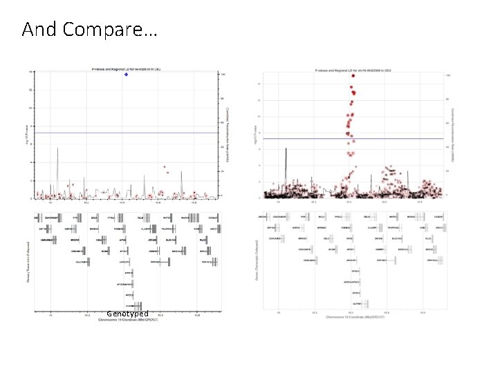 And Compare… Genotyped Imputed 