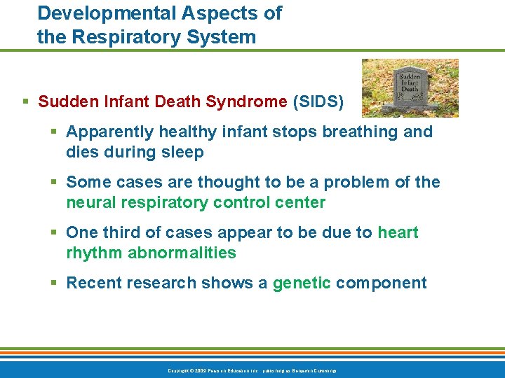 Developmental Aspects of the Respiratory System § Sudden Infant Death Syndrome (SIDS) § Apparently