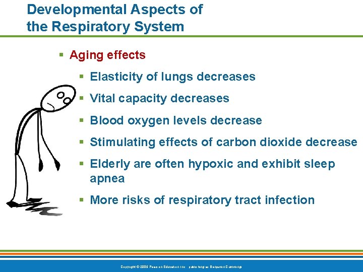 Developmental Aspects of the Respiratory System § Aging effects § Elasticity of lungs decreases