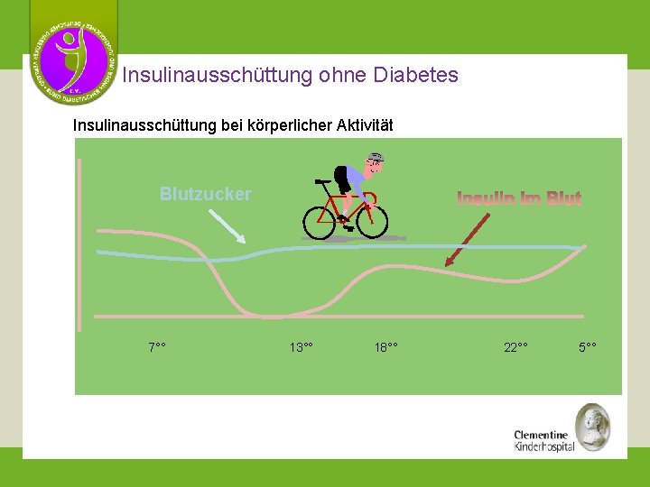 Insulinausschüttung ohne Diabetes Insulinausschüttung bei körperlicher Aktivität Blutzucker 7°° 13°° 18°° 22°° 5°° 