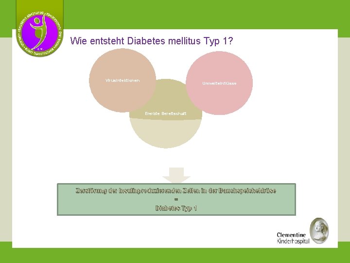 Wie entsteht Diabetes mellitus Typ 1? Virusinfektionen Umwelteinflüsse Ererbte Bereitschaft Zerstörung der Insulinproduzierenden Zellen