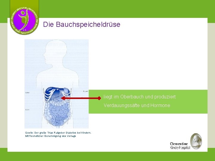 Die Bauchspeicheldrüse liegt im Oberbauch und produziert Verdauungssäfte und Hormone Quelle: Der große Trias