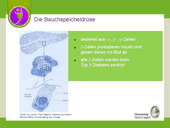 Die Bauchspeicheldrüse bestehet aus -, - Zellen -Zellen produzieren Insulin und geben dieses ins