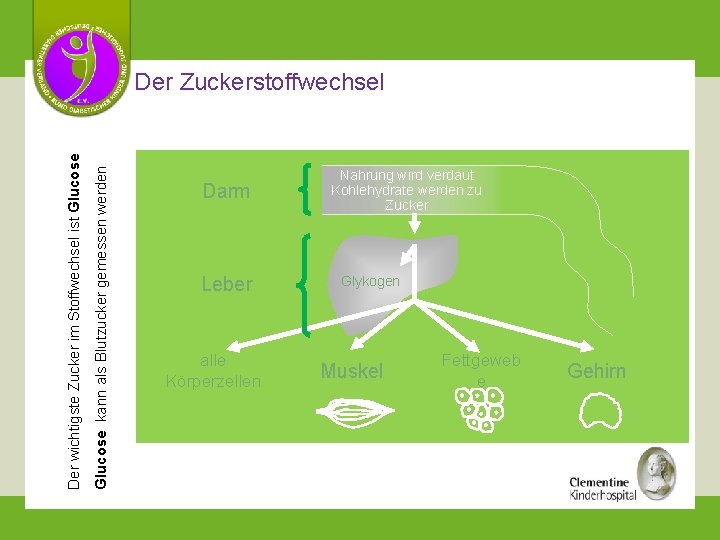 Glucose kann als Blutzucker gemessen werden Der wichtigste Zucker im Stoffwechsel ist Glucose Der