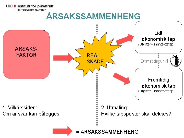 ÅRSAKSSAMMENHENG ANSVARSGRUNNLAG -Culpa ÅRSAKS-U/lovfestet FAKTOR objektivt ansvar -Arbeidsgiveransv ar Lidt økonomisk tap (Utgifter+ innntektstap)