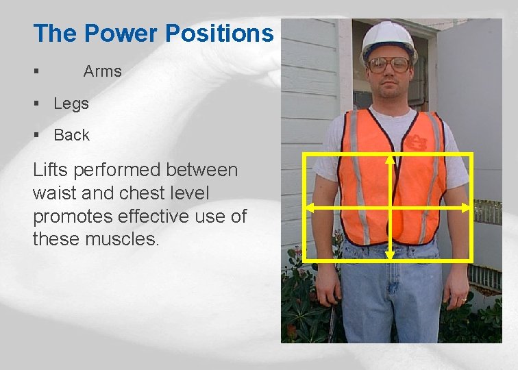 The Power Positions § Arms § Legs § Back Lifts performed between waist and