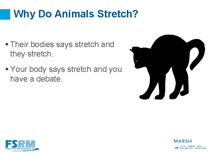Why Do Animals Stretch? § Their bodies says stretch and they stretch. § Your