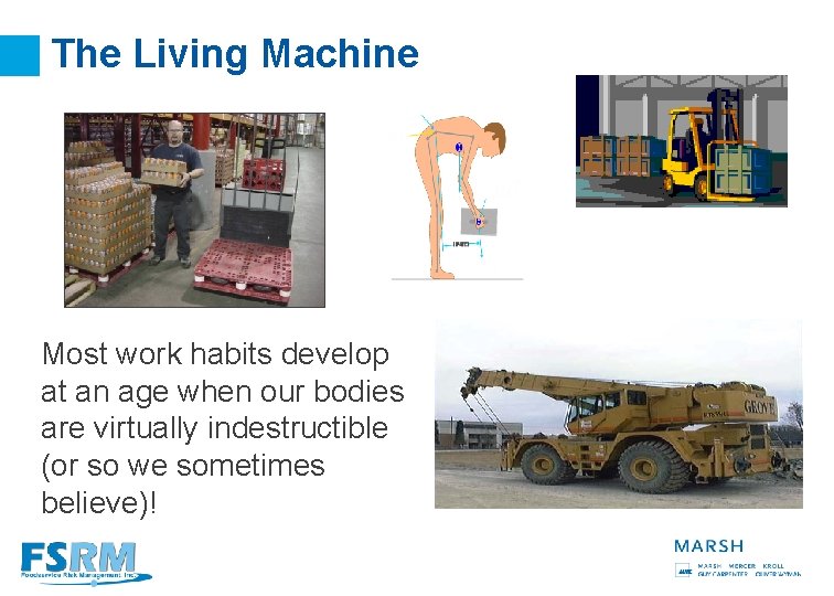 The Living Machine Most work habits develop at an age when our bodies are