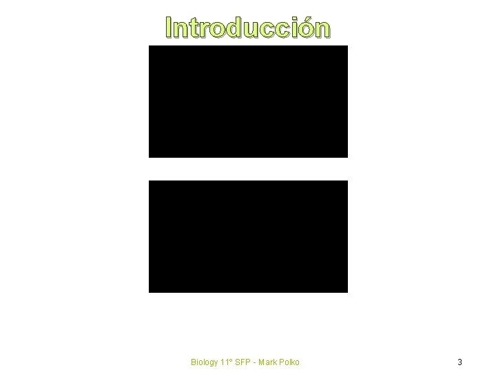 Introducción Biology 11º SFP - Mark Polko 3 