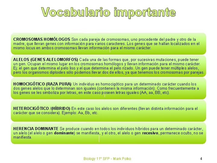 Vocabulario importante CROMOSOMAS HOMÓLOGOS Son cada pareja de cromosomas, uno procedente del padre y