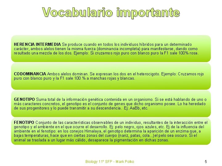 Vocabulario importante HERENCIA INTERMEDIA Se produce cuando en todos los individuos híbridos para un