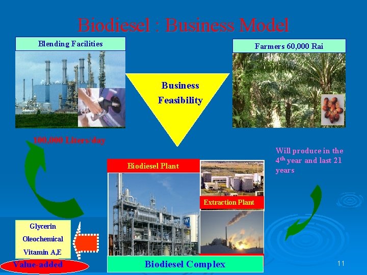 Biodiesel : Business Model Blending Facilities Farmers 60, 000 Rai Business Feasibility 100, 000