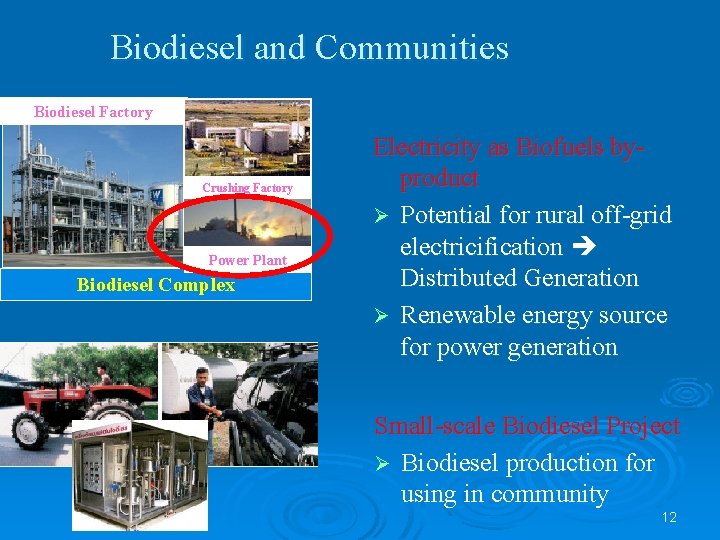 Biodiesel and Communities Biodiesel Factory Crushing Factory Power Plant Biodiesel Complex Electricity as Biofuels