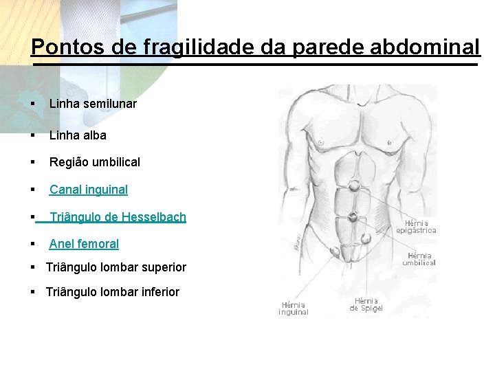 Pontos de fragilidade da parede abdominal § Linha semilunar § Linha alba § Região