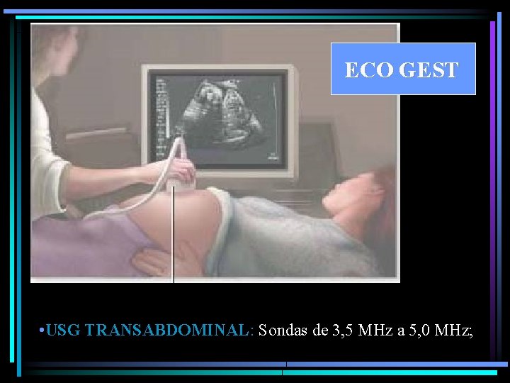 ECO GEST • USG TRANSABDOMINAL: Sondas de 3, 5 MHz a 5, 0 MHz;