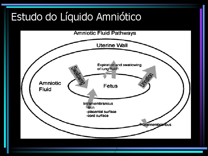 Estudo do Líquido Amniótico 