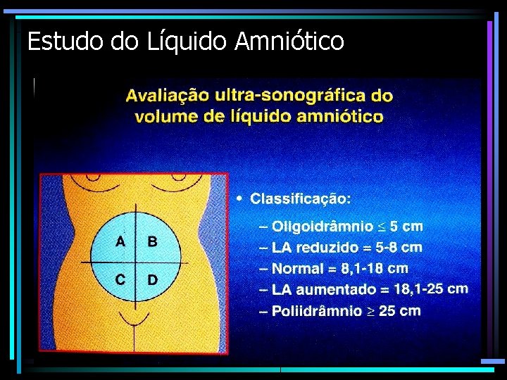 Estudo do Líquido Amniótico 