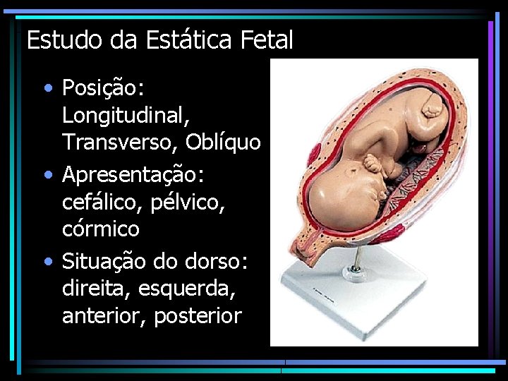 Estudo da Estática Fetal • Posição: Longitudinal, Transverso, Oblíquo • Apresentação: cefálico, pélvico, córmico