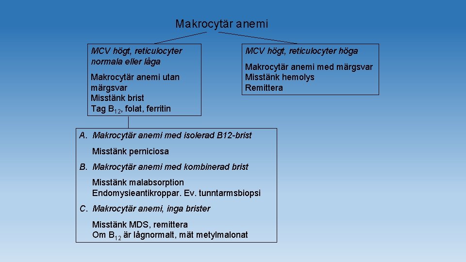 Makrocytär anemi MCV högt, reticulocyter normala eller låga Makrocytär anemi utan märgsvar Misstänk brist