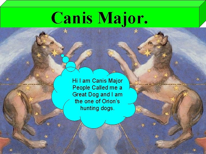 Canis Major. Hi I am Canis Major People Called me a Great Dog and