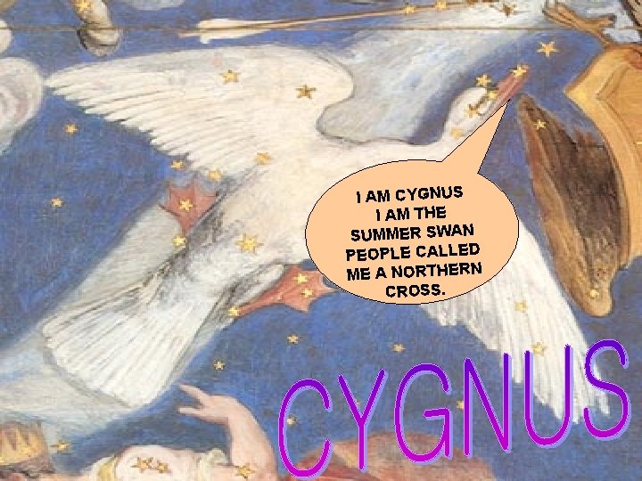 I AM CYGNUS I AM THE SUMMER SWAN PEOPLE CALLED ME A NORTHERN CROSS.