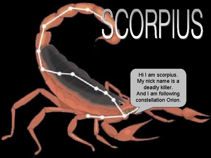 Hi I am scorpius. My nick name is a deadly killer. And I am