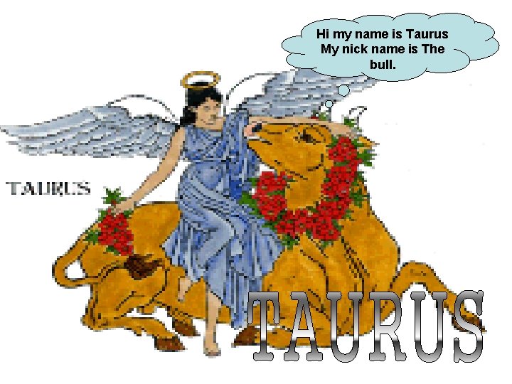 Hi my name is Taurus My nick name is The bull. 