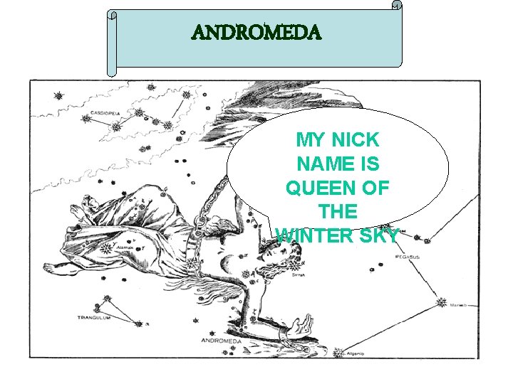 ANDROMEDA MY NICK NAME IS QUEEN OF THE WINTER SKY 