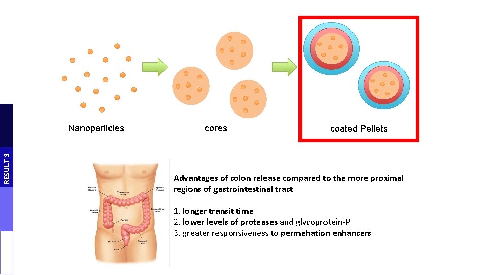 ORAL NANOCARRIER FOR INSULIN COLON DELIVERY Miriam Colombo