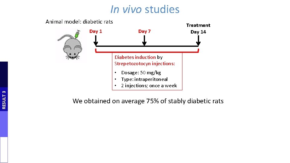 In vivo studies Animal model: diabetic rats Day 1 Day 7 Treatment Day 14