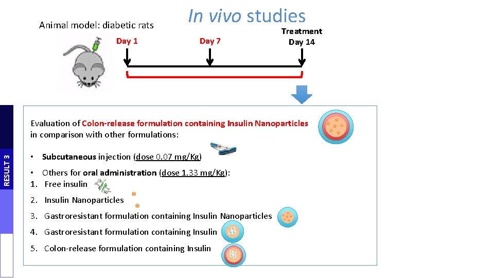 Animal model: diabetic rats Day 1 In vivo studies Day 7 Treatment Day 14