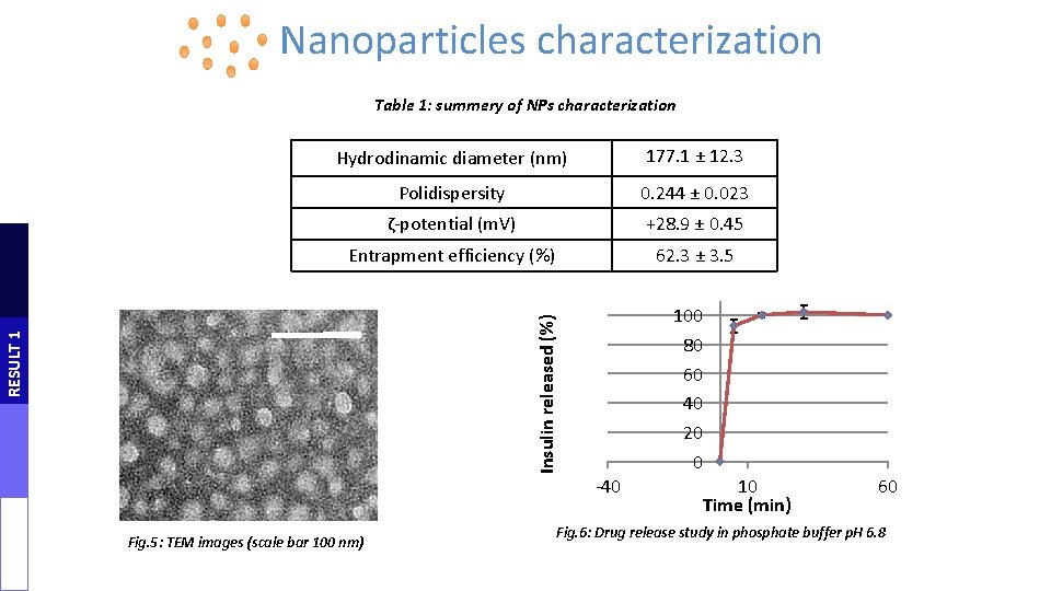 Nanoparticles characterization 177. 1 ± 12. 3 Polidispersity 0. 244 ± 0. 023 ζ-potential