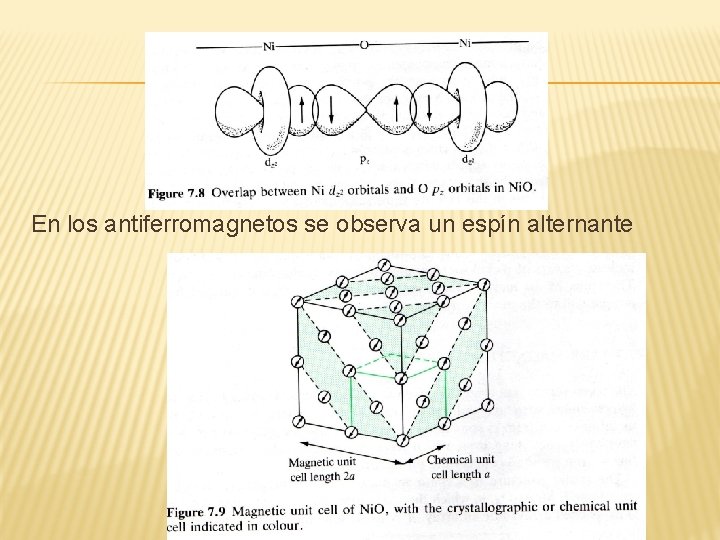 En los antiferromagnetos se observa un espín alternante 