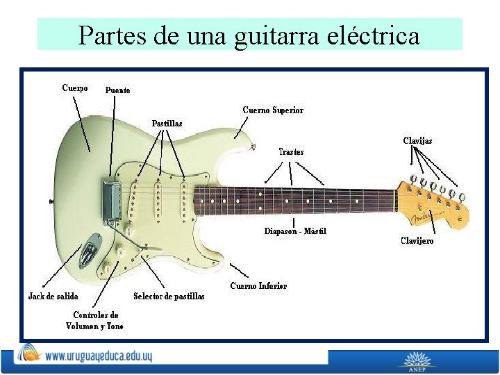 Partes de una guitarra eléctrica 