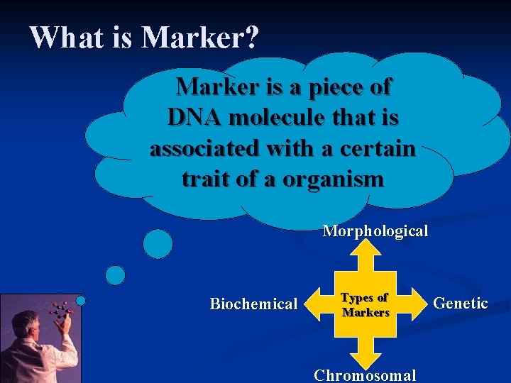 What is Marker? Marker is a piece of DNA molecule that is associated with