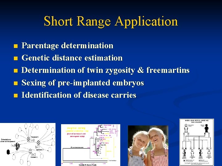 Short Range Application n n Parentage determination Genetic distance estimation Determination of twin zygosity