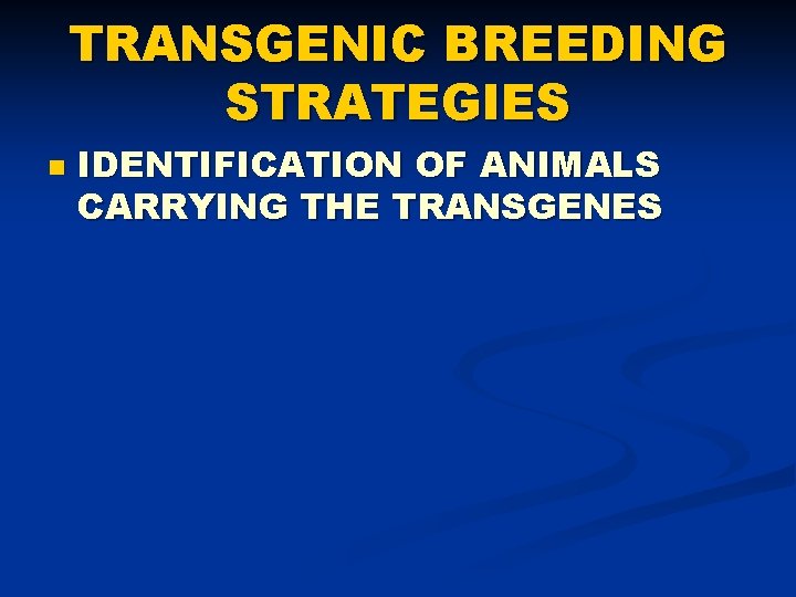 TRANSGENIC BREEDING STRATEGIES n IDENTIFICATION OF ANIMALS CARRYING THE TRANSGENES 