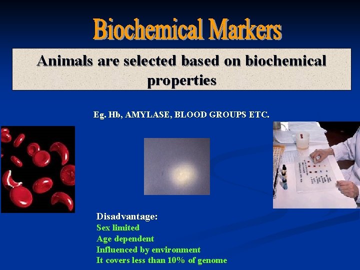 Animals are selected based on biochemical properties Eg. Hb, AMYLASE, BLOOD GROUPS ETC. Disadvantage: