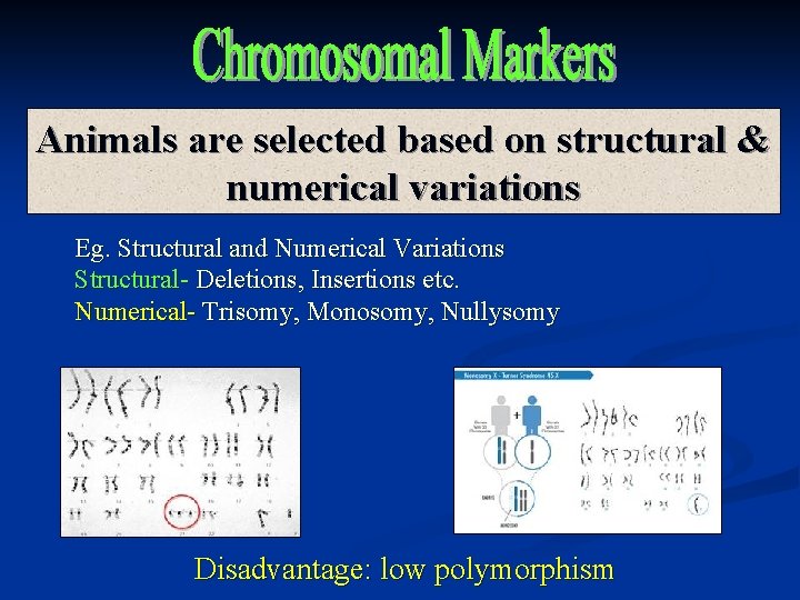 Animals are selected based on structural & numerical variations Eg. Structural and Numerical Variations
