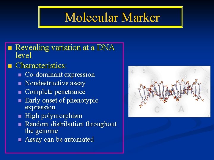 Molecular Marker n n Revealing variation at a DNA level Characteristics: n n n