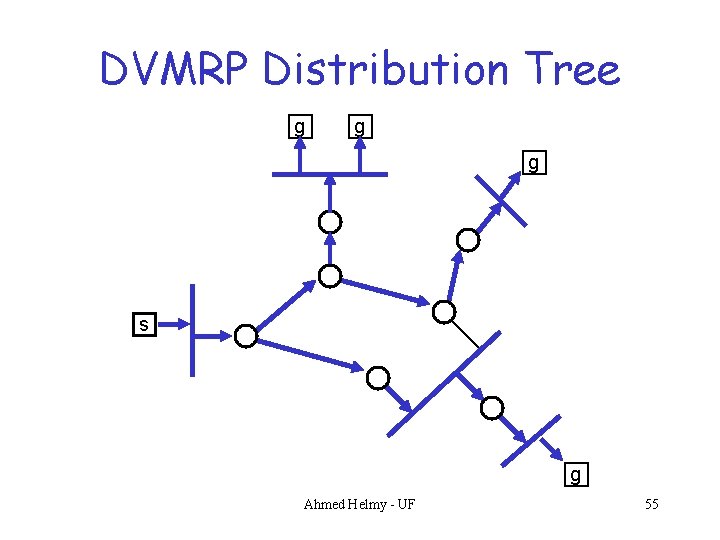 DVMRP Distribution Tree g g g s g Ahmed Helmy - UF 55 