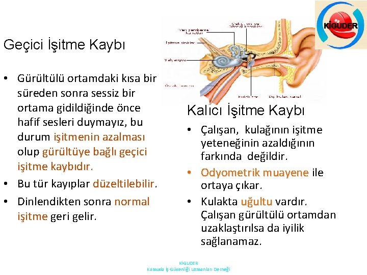 Geçici İşitme Kaybı • Gürültülü ortamdaki kısa bir süreden sonra sessiz bir ortama gidildiğinde