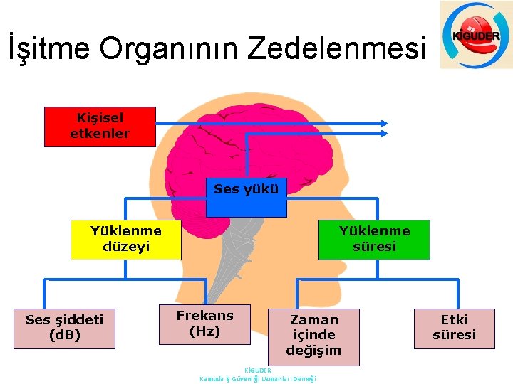 İşitme Organının Zedelenmesi Kişisel etkenler Ses yükü Yüklenme düzeyi Ses şiddeti (d. B) Yüklenme