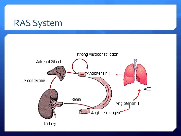 RAS System 